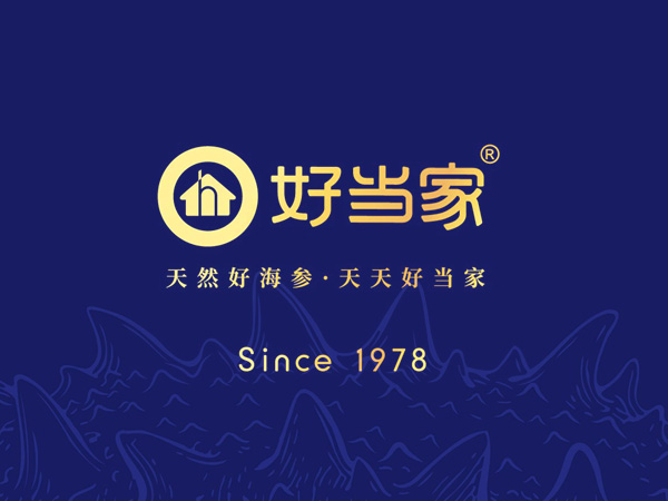 好當家春參全面采捕中 鮮活有機海參供應全國……