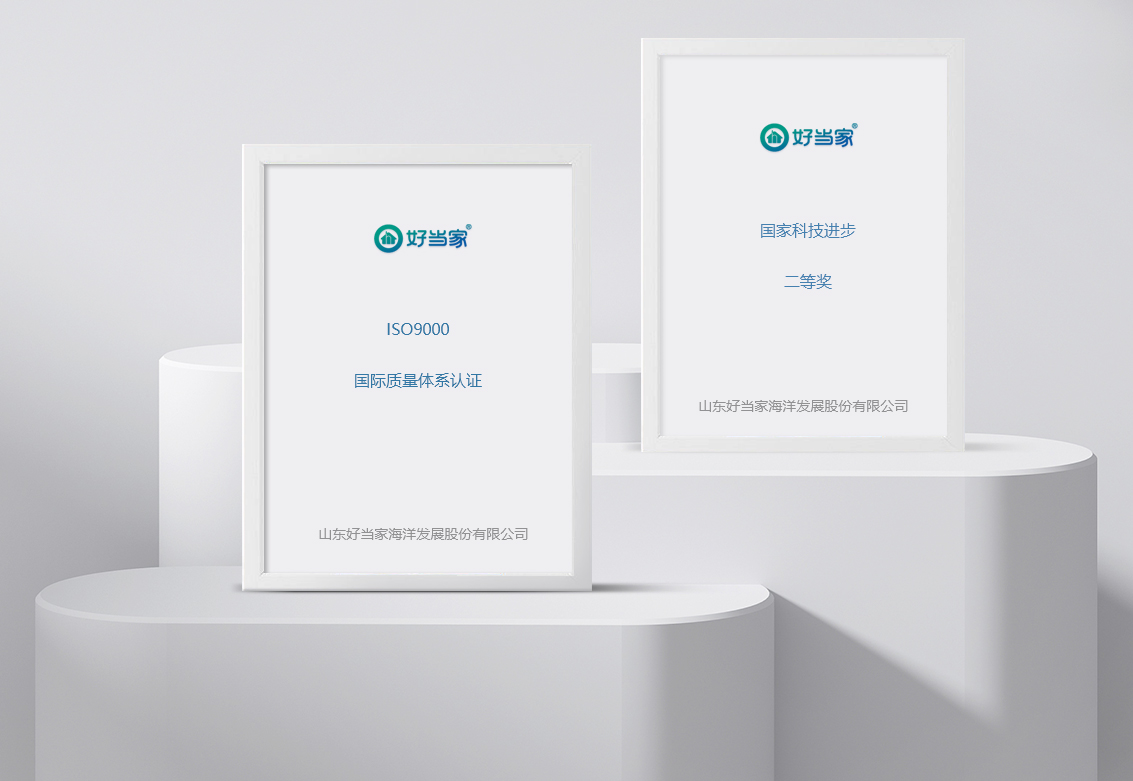 企業實力